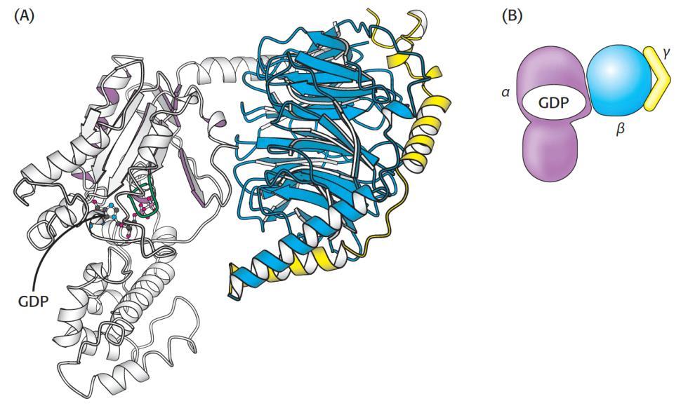 ςήματοσ Pymol: