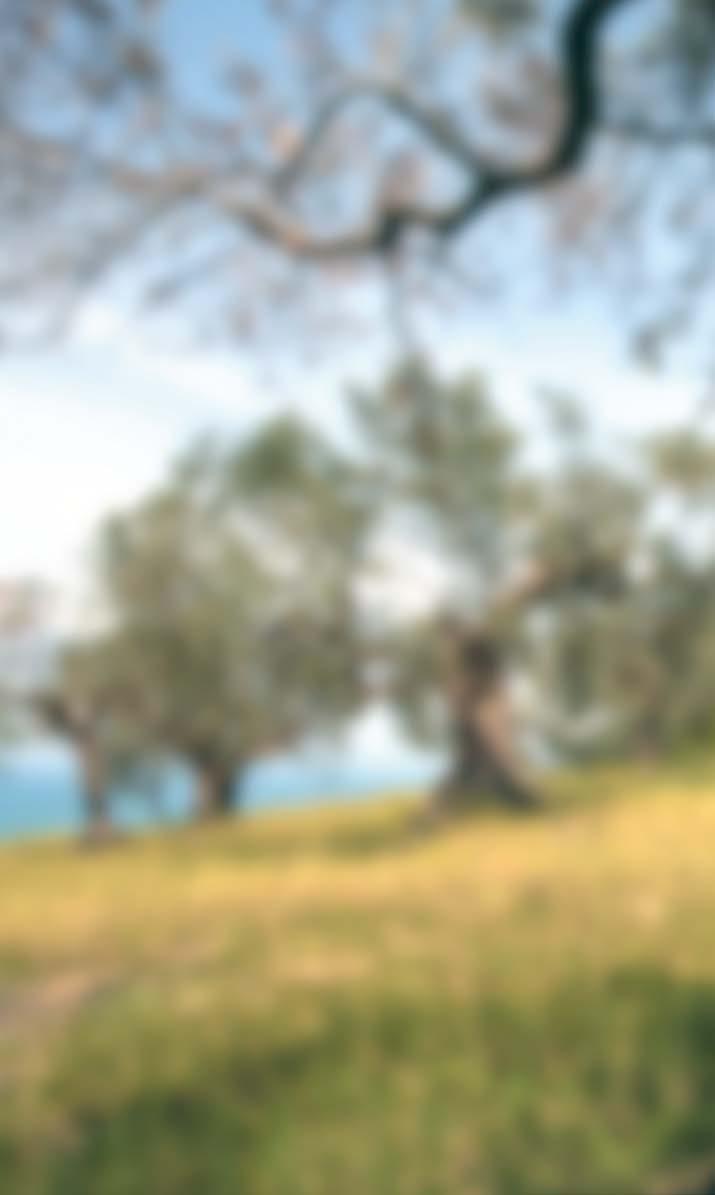 Αγρότης Mr Farmer Αγρότισσα Mrs Farmer