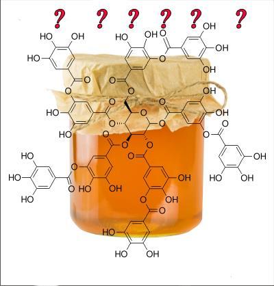 Χημικός έλεγχος νομοθεσίας Περιλαμβάνει τα εξής: Έλεγχος γλυκόζης και φρουκτόζης στο μέλι Έλεγχος περιεκτικότητας σε σακχαρόζη Μέτρηση της ολικής οξύτητας Μέτρηση της αγωγιμότητας