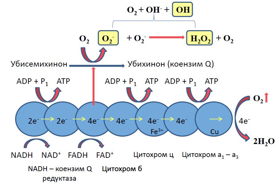 УВОД 1.