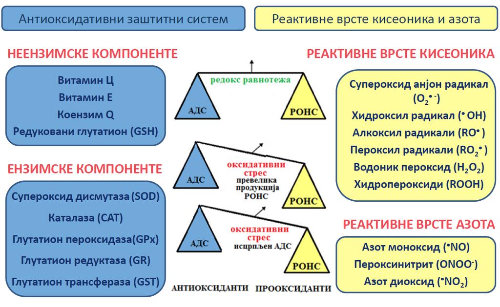 УВОД Слика 12.