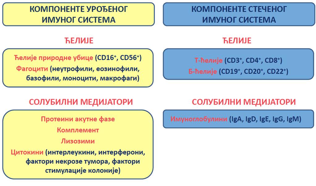 УВОД 1.