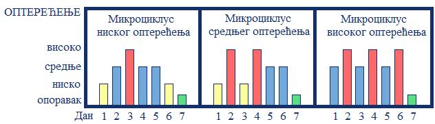 УВОД нивоу анаеробног прага). У последњој фази, фази специфична издржљивост циљ је достићи максималне потенцијале спортисте.