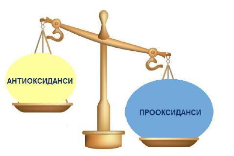 УВОД 1.1 ОКСИДАТИВНИ СТРЕС Оксидационо-редукциони процеси представљају основу биологије.