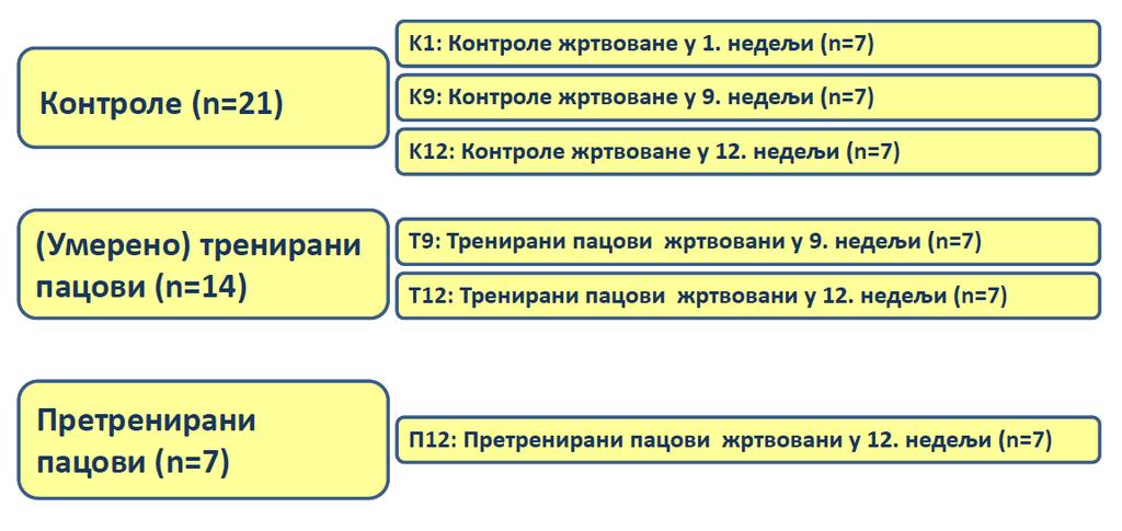 3.2.3 TЕСТ ОПТЕРЕЋЕЊА МАТЕРИЈАЛ И МЕТОДЕ У току тромесечног тренажног процеса спороведено је шест тестова оптерећења (Табела 4) са циљем евалуације ефеката тренажног програма на физичке перформансе