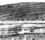 Α Eικόνα 1.2 Λήψη με τεχνική ΤEM Α) φυσιολογικής και Β) κατεστραμμένης τρίχας. (Höcker H. Efficacy testing for hair care products Skin Pharmacol Appl Physiol 12: 158-65, 1999). B Γ Εικόνα 1.