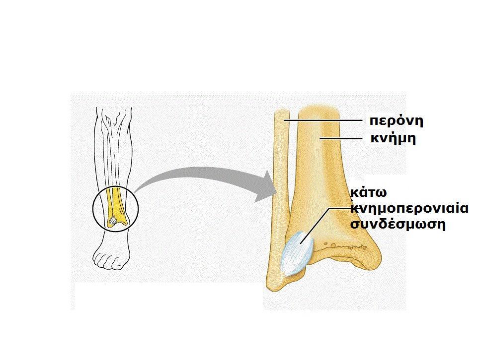 ΤΝΔΕΜΩΘ