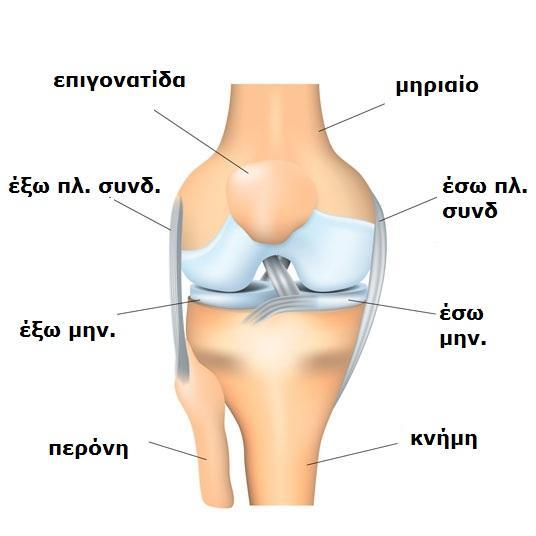 Ατελισ