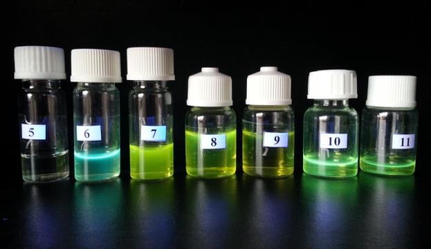 3. Rezultati i rasprava a) b) Rel. Fluo. Int.