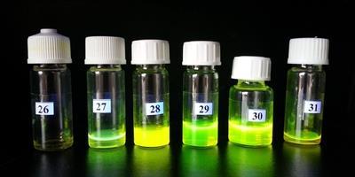 27 28 29 30 31 Rel. Fluo. Int.