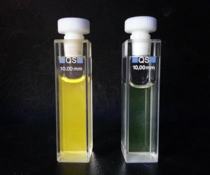 3. Rezultati i rasprava a) b) Abs 0,4 0,2 MQ ph=1,00 ph=1,95 ph=2,96 ph=4,05 ph=4,97 ph=6,04 ph=7,05 ph=8,00 ph=9,05 ph=9,96 ph=10,97 ph=12,04 ph=13,00 Abs(491nm) 0,30 0,28 0,26 0,24 0,22 0,20 0,18