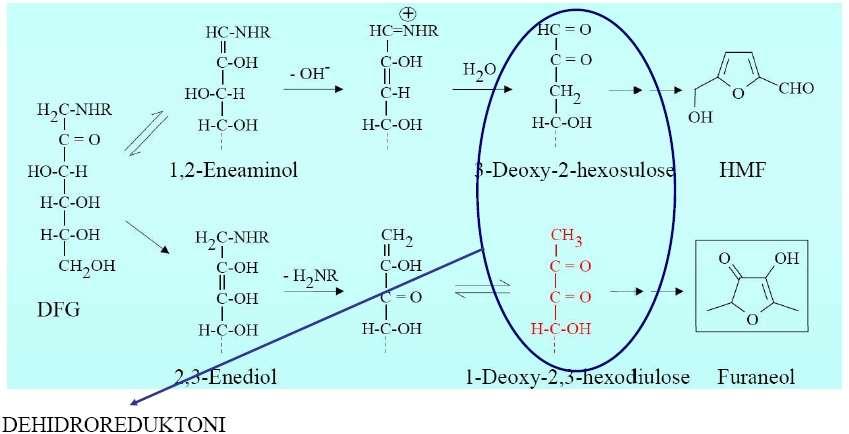4. S formulami prikaţi kako nastanejo dehidroreduktoni. Pri nastanku dehidroreduktonov se vedno odcepi ena molekula-katera.
