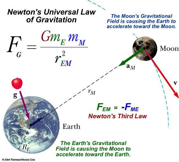 Këtë forcë tërheqëse Njutini e ka quajtur forcë të Gravitacionit. Për forcën e Gravitacionit Njutni ka supozuar se vepron në largësi.