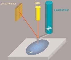 A punta de medida está suxeita ao escáner e ao aproximarse á superficie a distancias moi curtas experimenta unha interacción electrostática.