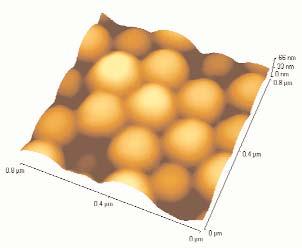 Características Técnicas TOPOMETRIX DISCOVERER E EXPLORER Sistema de aproximación: cerámicas pezoeléctricas Sistema electrónico: retroalimentación (ECU PLUS) Escáneres dispoñibles: 100 μm, 70 μm, 7