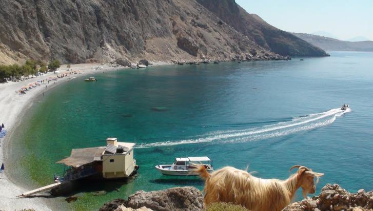 ΠΑΡΑΛΙΑ ΓΛΤΚΑ ΝΕΡΑ Δικόvα 4 Γλςκά Νεπά http://www.cretanbeaches.com/paralies/hania/paralia-glyka-nera-sfakia/ Σα Γιπθά Νεξά βξίζθovηαη 75km vφηηα ησv Υαvίσv θαη 4km δπηηθά ηεο Υψξαο θαθίσv.