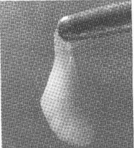 12.2.1. Puietul saciform Această boală produsă de un virus filtrabil, apare în tot cursul sezonului activ, dar mai frecvent în timpul verii. Este o boală declarabilă.