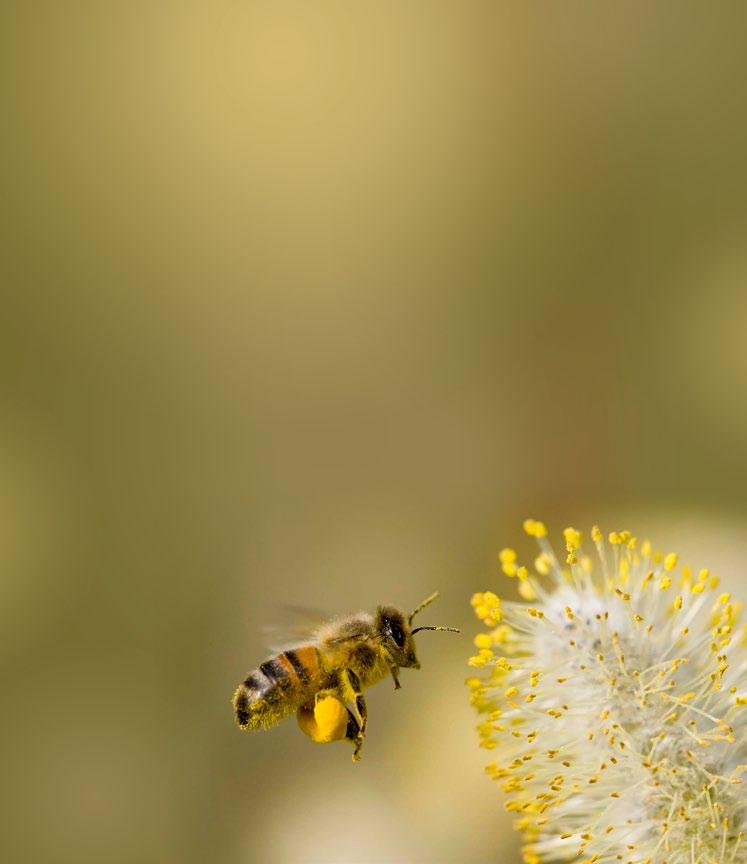 Tule Rae valla ekskursioonile 14.