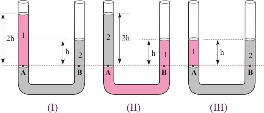 Σωστή απάντηση είναι η (β) Σύμφωνα με την αρχή των συγκοινωνούντων δοχείων, δύο σημεία ενός υγρού σε ισορροπία που βρίσκονται στο ίδιο οριζόντιο επίπεδο έχουν την ίδια ολική πίεση.