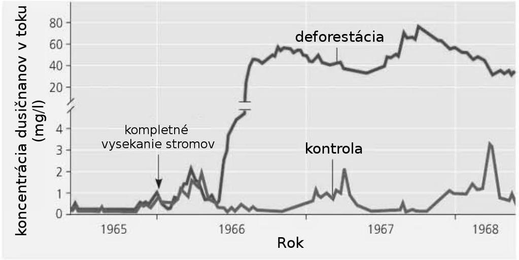 A. Prítomnosť lesného porastu nemá žiadny dopad na schopnosť pôdy zachytiť akékoľvek živiny. B.