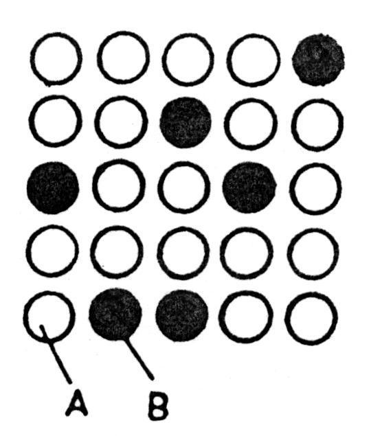 Obr. 4-2 Schéma substitučného tuhého roztoku Intermediálne fázy sú fázy, ktoré sa vyskytujú uprostred rovnovážnych diagramov a majú vlastnú kryštalickú mriežku nenadväzujúcu na žiadnu zo základných