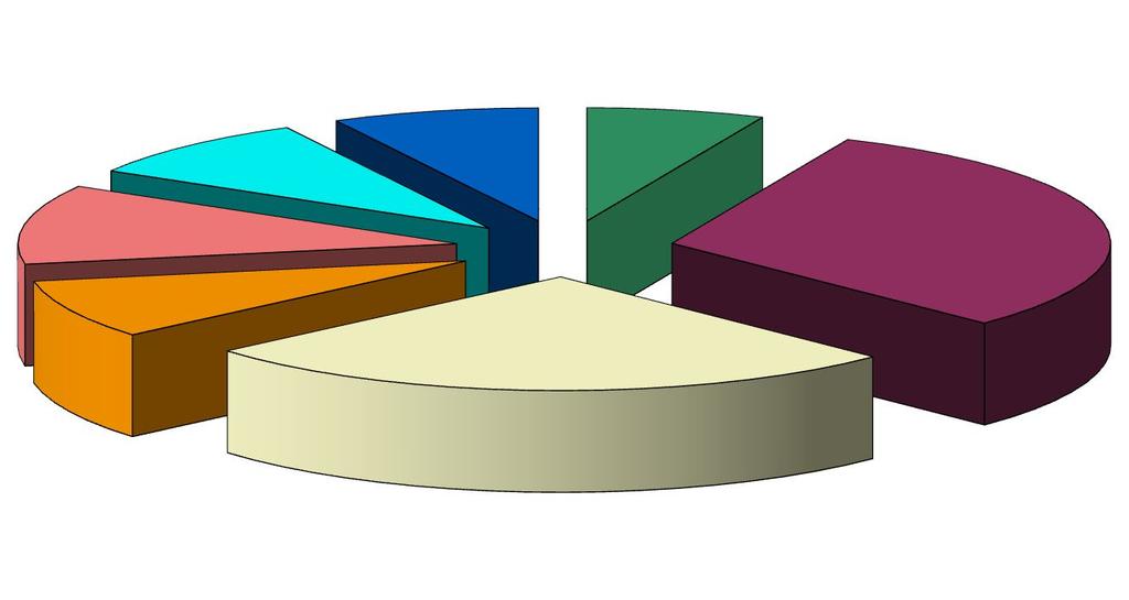 La data de 31 decembrie 2016 societatea înregistra un număr de 6.246 de angajaţi.