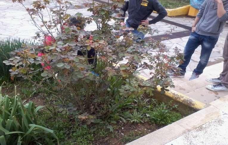 Δράσεις στο
