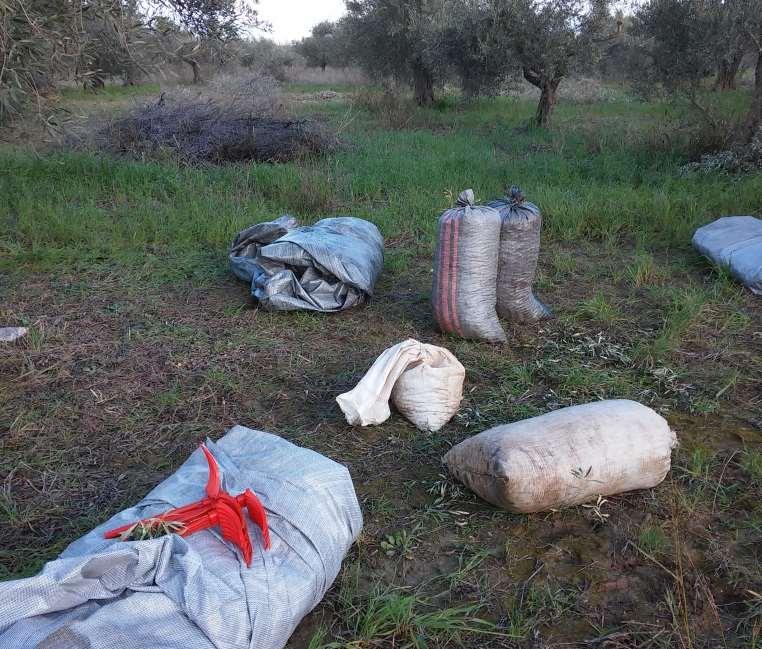 Φτιάξαμε