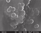 nanoštruktúry sa zhotovujú nanopolohovaním alebo nanolitografiou v rozsahu nanostupnice, analyzujú sa nanomeraním, nanospektroskopiou a pod. Obr.