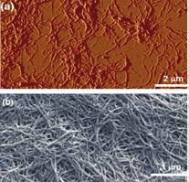 11. Grafén, uhlíkové nanorúrky, fullerény Uhlík, prvok s atómovým číslom 6, sa stal v posledných desaťročiach najskúmanejším materiálom v N&N.