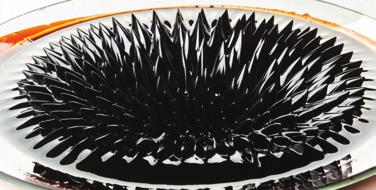 Obr. 23 Pri umiestnení magnetu pod tanier s magnetickou kvapalinou vznikne útvar nazývaný magnetický ježko, pretože častice sa usporiadajú v smere magnetických siločiar (Obr. uverejnený so súhlasom P.