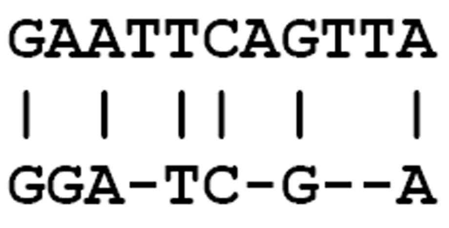 k+1,m+1 = S k,m+1 - (gap penalty) Άρα, εάν έχουµε τιµές για τα S k,m, S k+1,m και S k,m+1 µπορούµε να υπολογίσουµε το S k+1,m+1 απλά µε το να βρούµε το µέγιστο από τις τρεις αριθµητικές εκφράσεις που