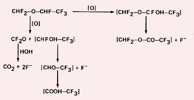 Metabolizam desflurana Metabolizam sevoflurana desfluran: F 3 Biotransformacija fluorovanih anestetika F F 2 F 3 -F--F 2 F F F 2 3 -F.. + () F F F 3 F 3.. -F 2 F F F 2 trifluorosirćetna kis.
