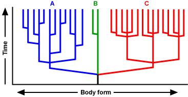 Διαχωρισμός γενεαλογίας (ή Ειδογένεση) Διαχωρισμός γενεαλογίας (ή Ειδογένεση): Τα μοτίβα διαχωρισμούγενεαλογίας μπορούν να προσδιοριστούν με την κατασκευή και την εξέταση μιας φυλογένειας.