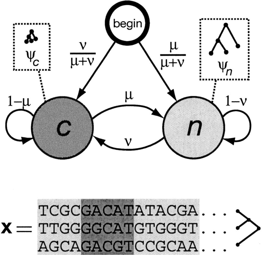 PhyloHMM: kombinácia HMM a fylogenetického stromu PhastCons: detekcia dobre zachovaných sekvencií Dva stavy:
