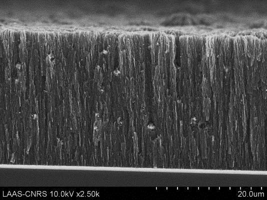 Pentru sintetizarea materialelor carbonice nanostructurate de tip carbon nanowalls (CNW) s-a folosit un sistem experimental cu jet de plasma de radiofrecventa la presiune joasa.