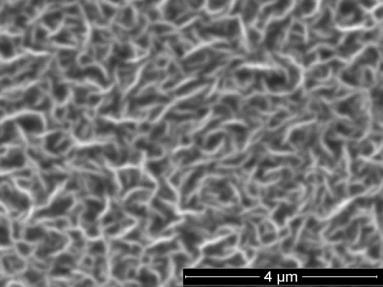 In Figura 25 este prezentat spectrul Raman, excitat cu lungimea de unda de 514 nm, al CNW-urilor depuse pe diferite substraturi. Raman Intensity (arbtr.