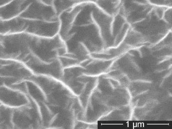Spectrele Raman ale probelor de CNW depuse in aceleasi conditii pe substraturi diferite (Si, inox si cuart).