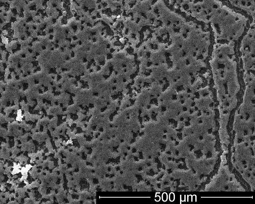 Activitatea II. 5 Investigarea posibilitatii sintezei CNW pe substraturi solubile in solutii apoase Sinteza CNW pe substraturi de sare. (cristal de NaCl).