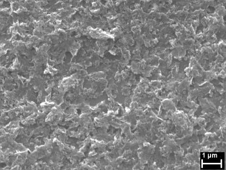 Investigarile SEM facute pe solutii din CNW ultrasonicate si CNW ultrasonicate si tratate cu jet de plasma in lichid in