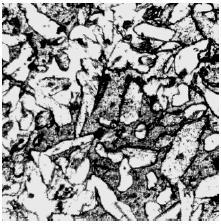 Alamele bifazice, cu peste 32% Zn, practic au structura la temperatura ambiantă formată din soluţie solidă α şi soluţie solidă β până la 39% Zn, fig.3.3. şi din soluţie solidă α şi soluţie solidă ordonată β (fază Kurnakov) cele cu 39 46% Zn.