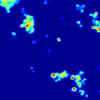 " # 40 1 42 7000 Normalized fluorescence 0.98 0.96 0.94 0.92 0.9 data max. slope meas. freq.