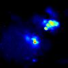 "#$ 0 20 40 60 80 100 Au Fluorescence