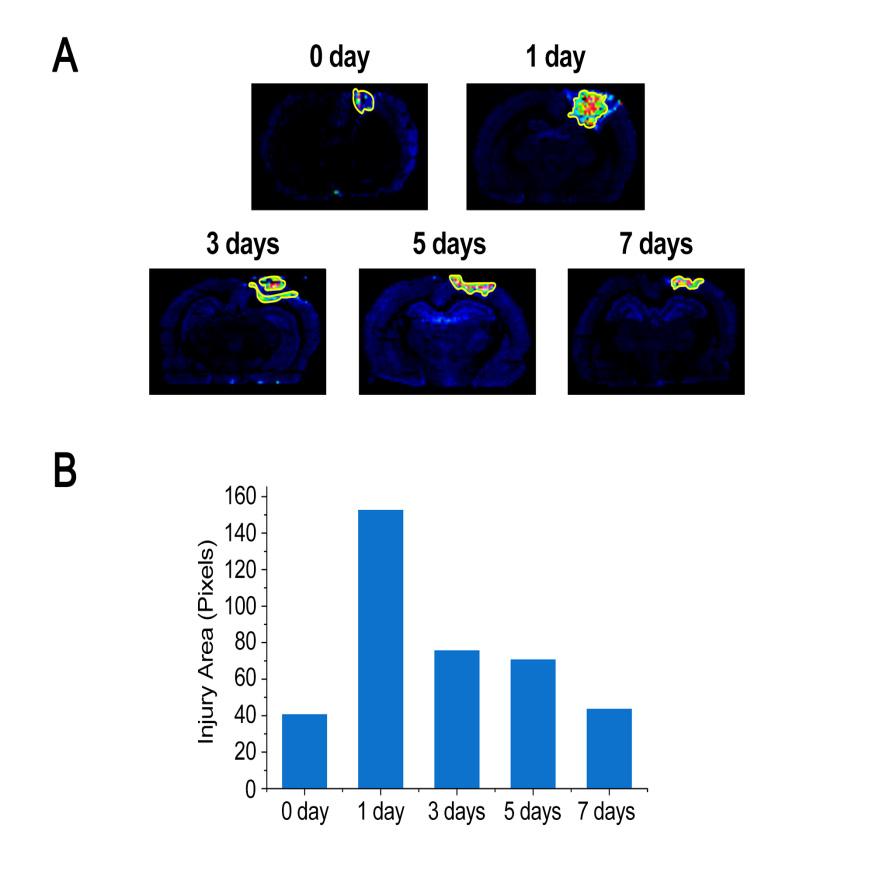 Figure S6. (A) Ion images of DHA at the different time points.