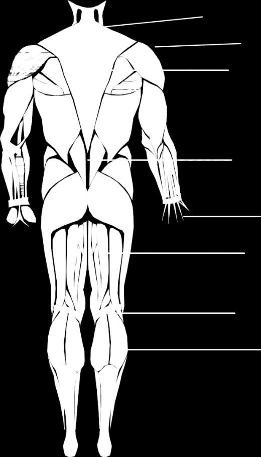 (1999):Health profile test N=140. Bankemployees.