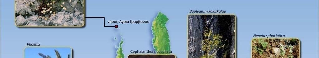 CRETAPLANT Πιλοτικό Δίκτυο Μικρο Αποθεμάτων Φυτών