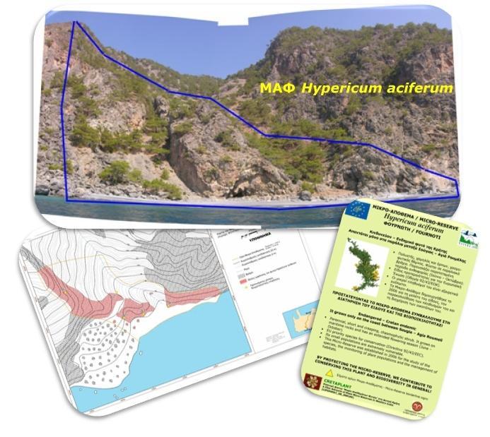 τθ ςυνζχεια καταςκευάςκθκαν οι λεπτομερειακοί χάρτεσ των ΜΑΦ, ςε ψθφιακό ςφςτθμα GIS, εκπονικθκαν ςχζδια παρακολοφκθςθσ (που περιλαμβάνουν βαςικά ςτοιχεία αναφοράσ για κάκε ΜΑΦ κακϊσ και τισ