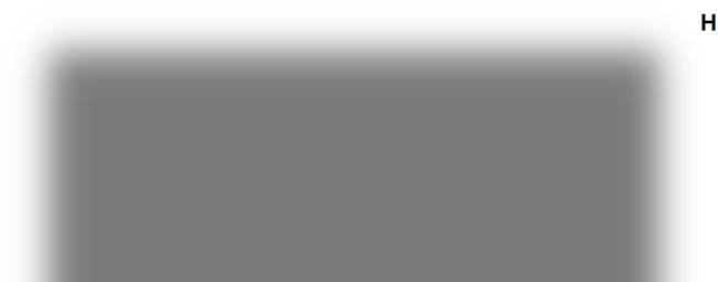Ημέρα 11η: Σαμαρκάνδη Tασκένδη Το πρωί θα επισκεφθούμε τον αρχαιολογικό χώρο και το μουσείο Αφροσιάμπ, ενώ η μέρα μας θα κλείσει με επίσκεψη στο μοναδικό αστεροσκοπείο του Ουλουγκπέκ.