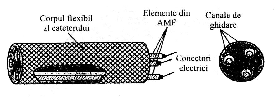 Exemple: I. Endoscopul activ (fig. 15) Fig.