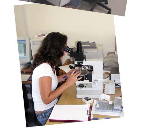 Μονάδες: 1. Εργαστήριο Έρευνας Ορυκτών και Πετρωμάτων (Ιδρύθηκε το 1991, Φ.Ε.Κ. 172/13.11.